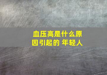 血压高是什么原因引起的 年轻人